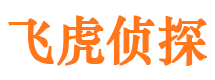 青铜峡出轨调查